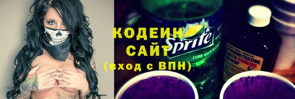 таблы Бородино