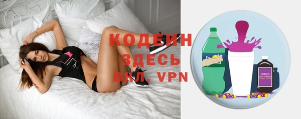таблы Бородино