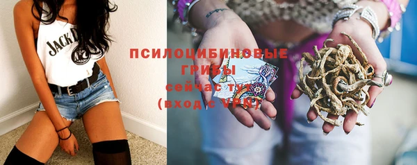 таблы Бородино
