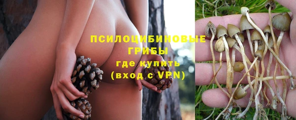 соль ск Бугульма