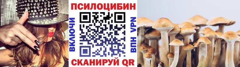 kraken ссылки  Ижевск  Псилоцибиновые грибы MAGIC MUSHROOMS  как найти наркотики 